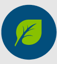 www.bionatureinccompany.com favicon